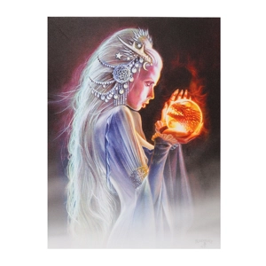 The Winterborn Witch Ca..