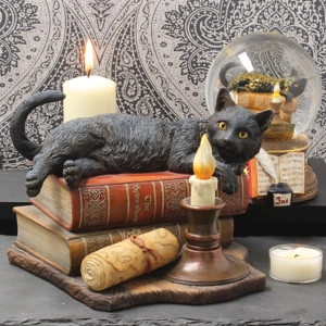 Lisa Parker The Witching Hou..