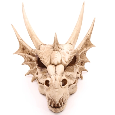 Decorative Fantasy Dragon Skull Decorative Fantasy Dragon Skull