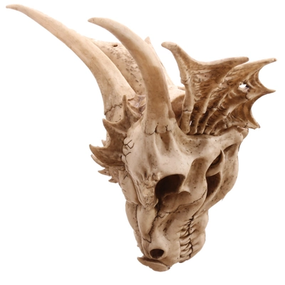 Decorative Fantasy Dragon Skull Decorative Fantasy Dragon Skull