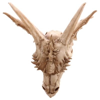 Decorative Fantasy Dragon Skull Decorative Fantasy Dragon Skull