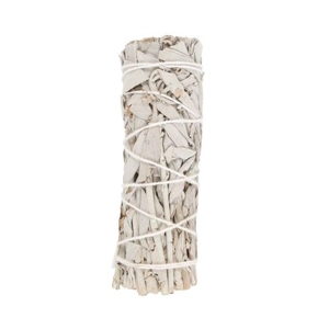 10cm Small White Sage S..