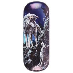 Guidance Glasses Case b..