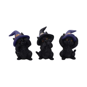 Three Wise Familiars Se..