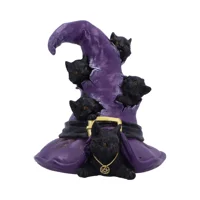 Magical Mischief Witch Hat a..