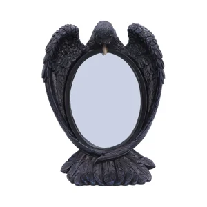 Nevermore Reflection - Raven..