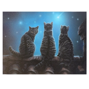 Wish Upon A Star Canvas..