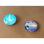 Glass Dome Magnets