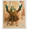 WARWICK DAVIS SIGNED STAR WARS WALD 8x10 & BECKETT CERTIFIED BAS COA
