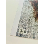 GAME OF THRONES 8x10 DOUBLE SIGNED by DAVID BENIOFF and D.B WEISS and BECKETT CERTIFIED1* GAME OF THRONES 8x10 DOUBLE SIGNED by DAVID BENIOFF and D.B WEISS and BECKETT CERTIFIED1*