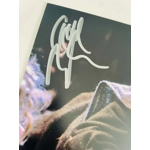 DOMINIC MONAGHAN SIGNED LORD OF THE RINGS 11x14 POSTER & BECKETT CERTIFIED