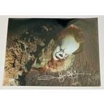 IT PENNYWISE 16x20 POSTER SIGNED by ANDY MUSCHIETTI and BECKETT CERTIFIED* IT PENNYWISE 16x20 POSTER SIGNED by ANDY MUSCHIETTI and BECKETT CERTIFIED*