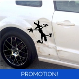 Coyote Dent Repair Sticker