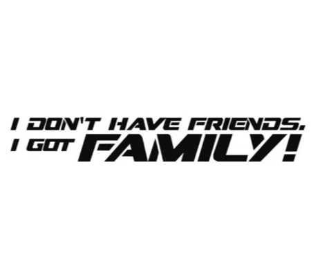 I Don't Have Friends, I Got Family Sticker