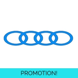 Audi Mini Lanyard Audi Mini Lanyard