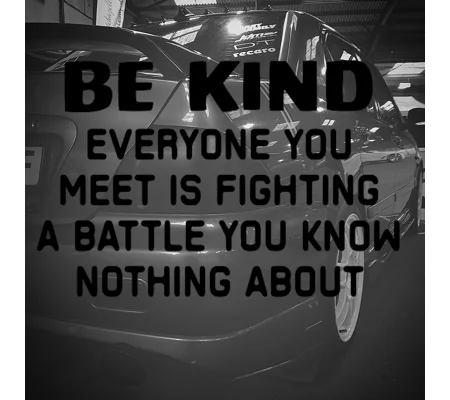 Be Kind Everyone Is Fighting A Battle Sticker