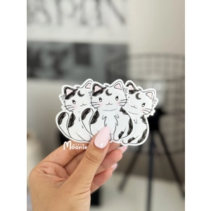 Cute Black and White Cat