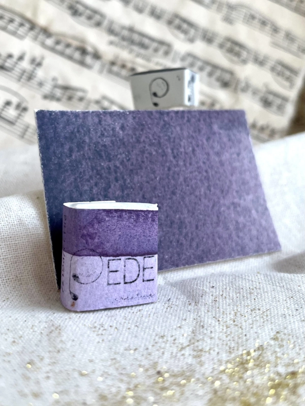 Elderberry