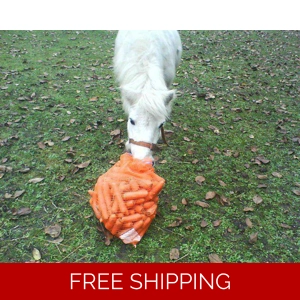 Buy A Bag of Carrots for A Rescued Pony