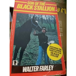 Son of the Black Stallion