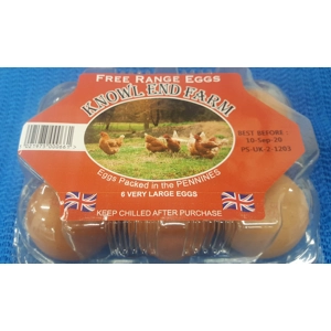 Free Range Jumbo Eggs