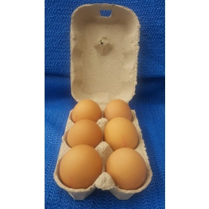 Large Eggs