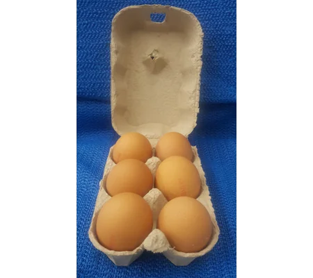 Large Eggs