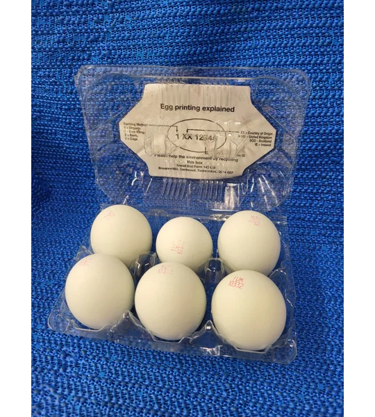 Free Range Blue Eggs
