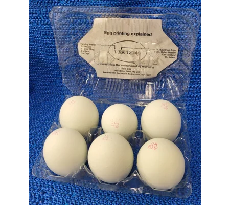 Free Range Blue Eggs
