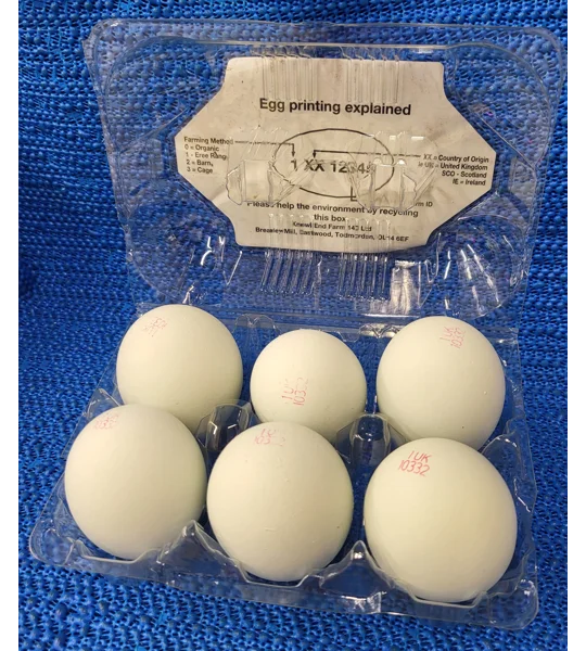 Free Range Blue Eggs