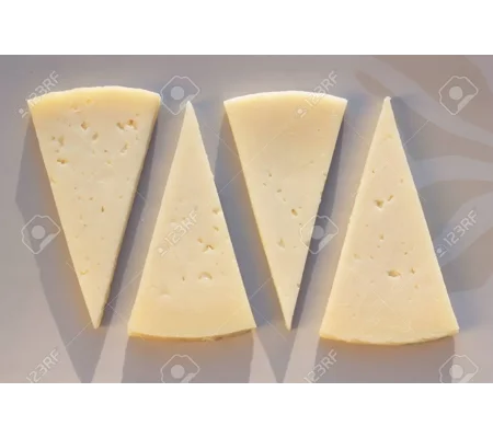 Manchego (sheep)