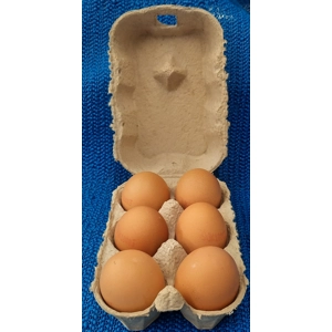 Medium Eggs Medium Eggs