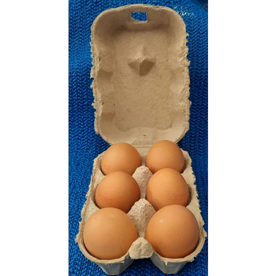 Medium Eggs