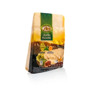 Parmesan