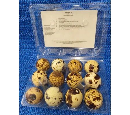 Quail Eggs