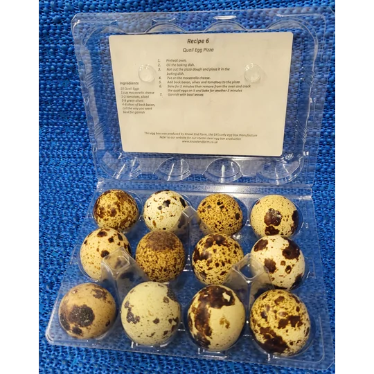 Free Range Quail Eggs
