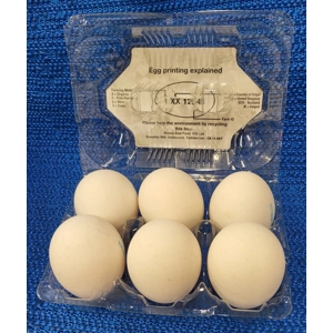 Large White Eggs