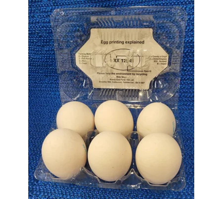 Large White Eggs