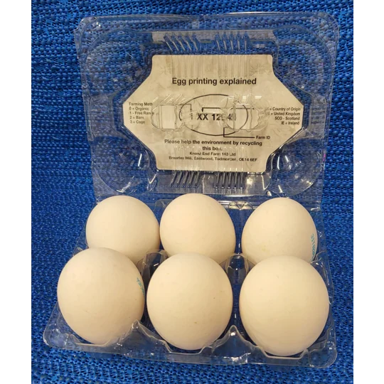 Large White Eggs