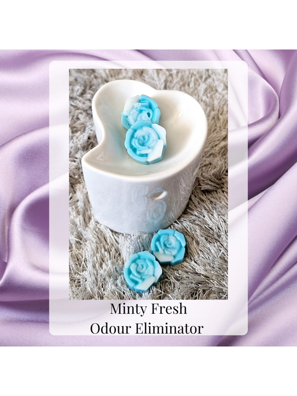 Minty Fresh Odour Eliminator