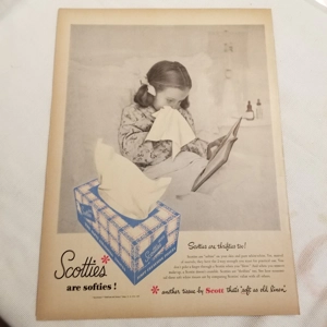 1950 Scotties are softies! orig ad