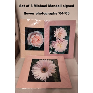 Set of 3 Signed Michael Mandell photographs flowers