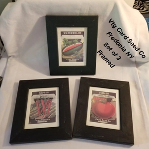 Set of 3 Vintage framed Card Seed Fredonia NY pics