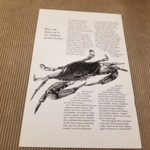 Original 1979 article Chesapeake Blue Crab