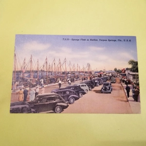 1950's Postcard TS33 Sponge Fleet in Harbor Florida