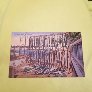 Vintage Postcard Catch of Kingfish 64855
