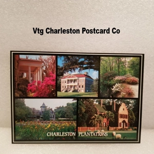 Vtg Charleston Postcard Co Postcard