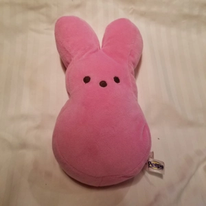 2018 Ruz Peeps Just Born bunny 9