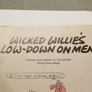Vintage 1988 Wicked Willies Low Down on Men cartoons 2 pcs