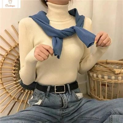 Winter Knitted Turtleneck Sweater for Women